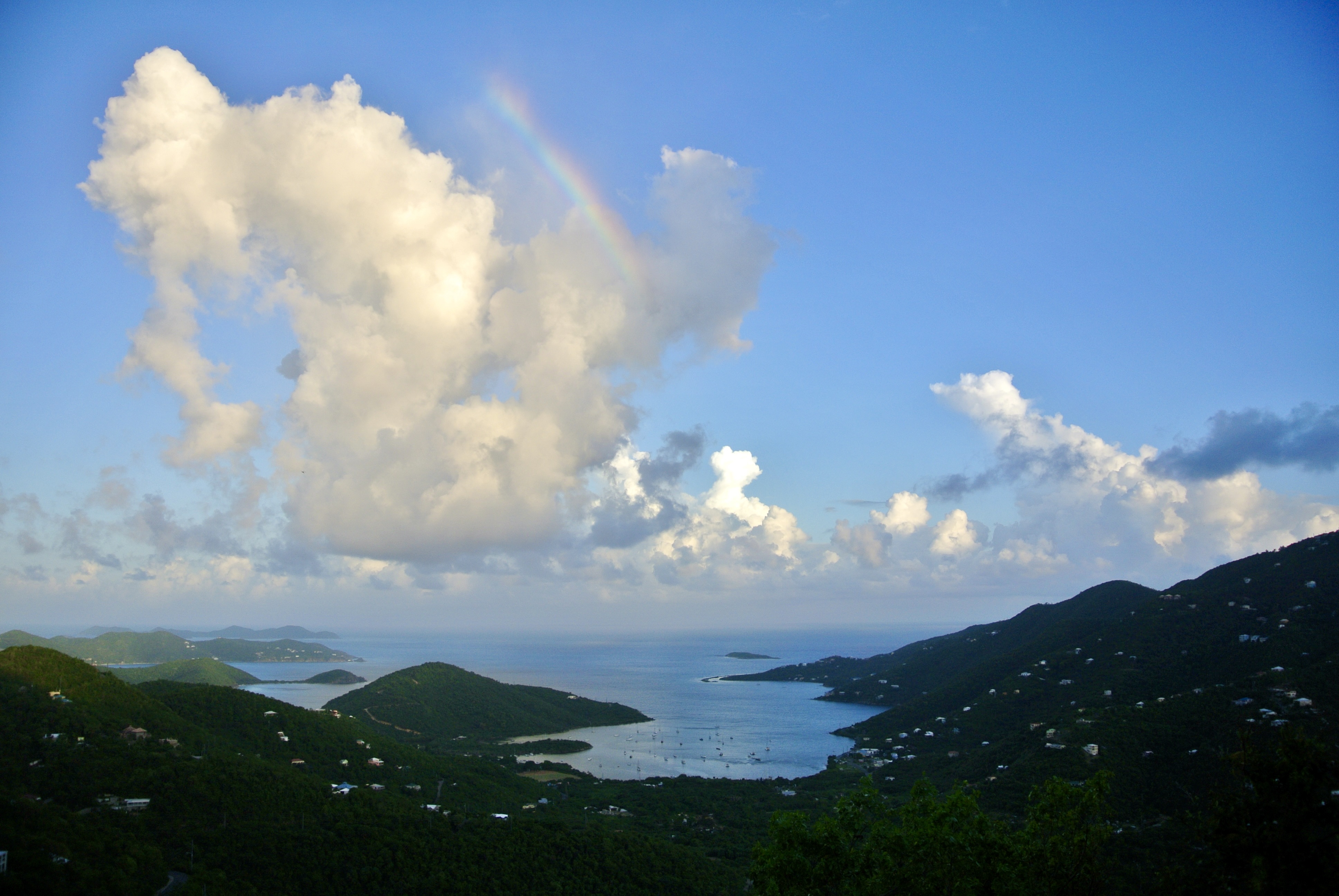  image here  publ1image8 Satinwood rainbow.jpeg